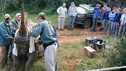 Épisodes de Safari Vet School