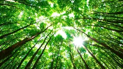 Sans droits ni titres