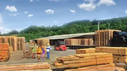 Scooby-Doo : mission environnement