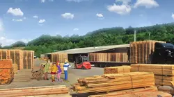 Scooby-Doo : mission environnement