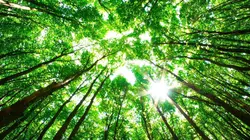 Sentinelles de la nature E08 Vanuatu