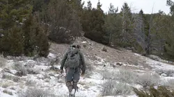 Seuls face à l'Alaska Endurance