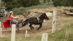 Shadow et moi en streaming