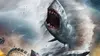 2013 • Sharknado ⭐ 1.83 Weinstein