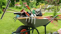 Silence, ça pousse !