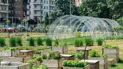 Silence, ça pousse !