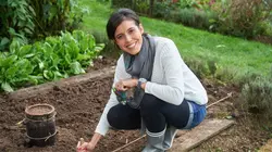 Casting Silence, ça pousse !