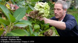 Casting Silence, ça pousse !