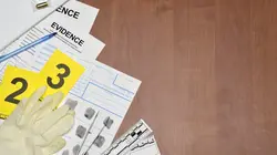 Snapped : cauchemars au réveil Mauvais sang