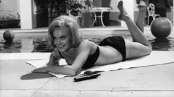 Solo pour une blonde en streaming