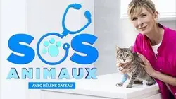 SOS animaux Episode 4
