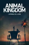 Affiche Animal Kingdom en streaming