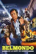 Affiche Belmondo ou le goût du risque replay