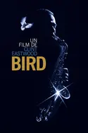 Affiche Bird en streaming