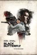 Affiche Audiences TV : Black Butterfly