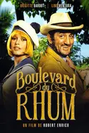 Affiche Audiences TV : Boulevard du rhum