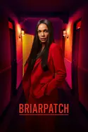 Affiche Briarpatch S01E03 Briarpatch
