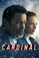 Affiche Cardinal S02E03 Terri en streaming