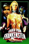 Affiche Chair pour Frankenstein en streaming