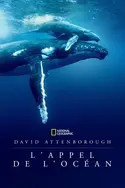 Affiche Casting David Attenborough : L'appel de l'Océan