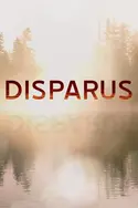 Affiche Disparus Triangle amoureux en streaming