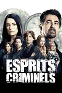 Affiche Esprits criminels replay