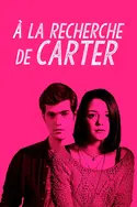 Affiche Finding Carter S01E11 Le privé en streaming