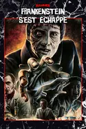 Affiche Frankenstein s'est échappé
