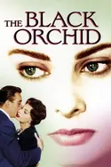 Affiche L'orchidée noire en streaming