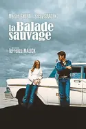 Affiche La balade sauvage en streaming