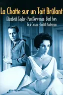 Affiche La chatte sur un toit brûlant en streaming
