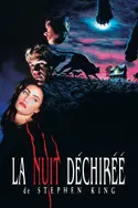 Affiche La nuit déchirée