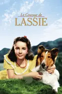 Affiche Casting Le courage de Lassie