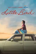 Affiche Casting Little Bird