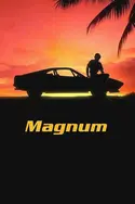 Affiche Magnum S05E02 Prémonition en streaming
