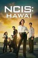 Affiche NCIS : Hawaï S02E03 Insoupçonnable en streaming