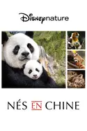 Affiche Casting Nés en Chine