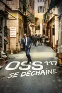 Affiche Casting OSS 117 se déchaîne