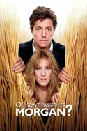 Affiche Où sont passés les Morgan ? en streaming