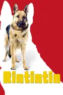 Affiche Rintintin en streaming