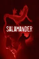 Affiche Salamandre S01E03 En fuite en streaming
