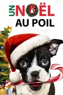 Affiche Audiences TV : Seul pour Noël