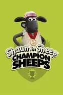 Affiche Shaun le champion en streaming