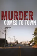 Affiche Casting Small Town Murder L'appel du devoir