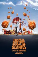 Affiche Tempête de boulettes géantes