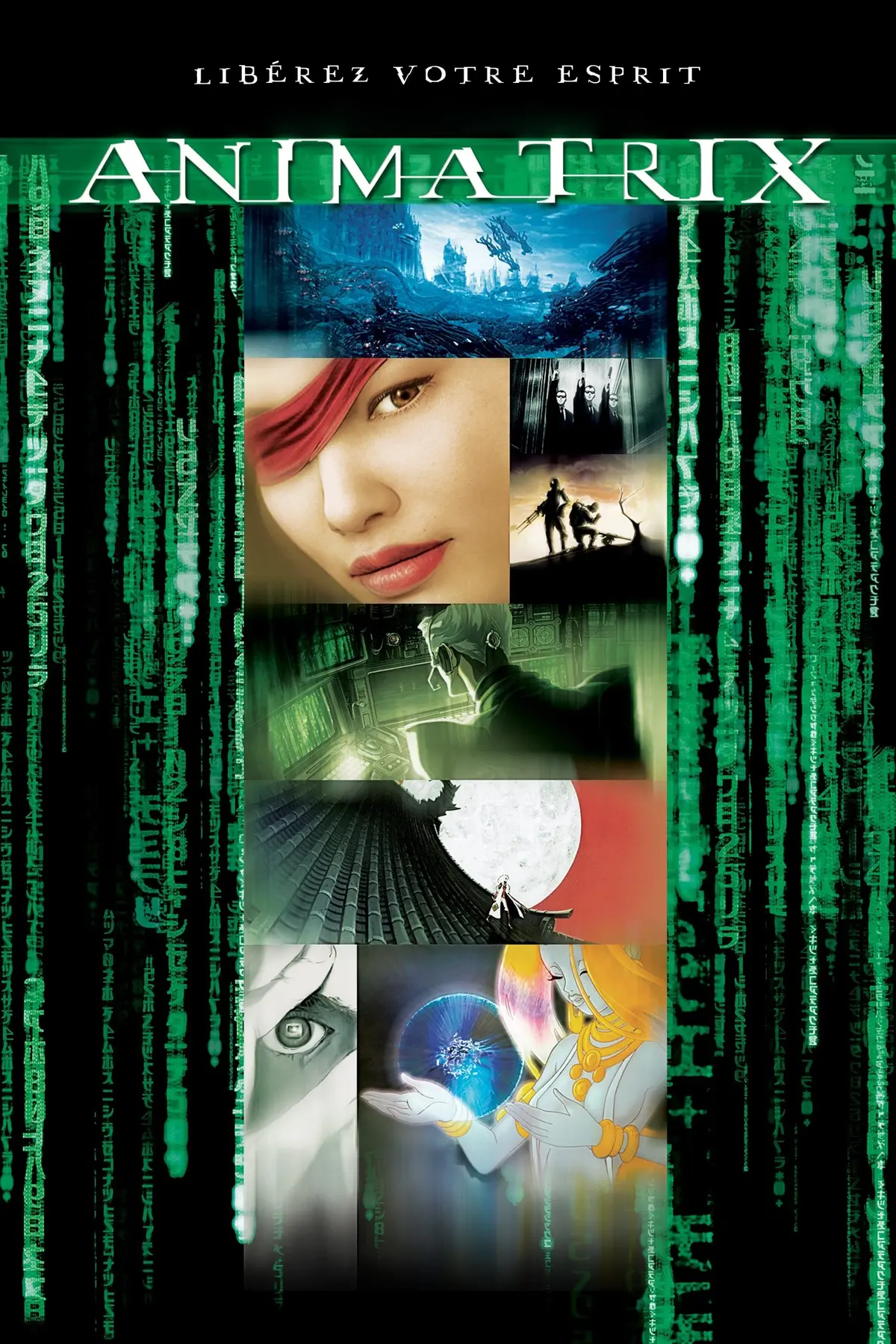 The Animatrix: Aki Ross