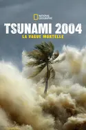 Affiche Tsunami: Race Against Time La vague
