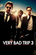 Affiche Very Bad Trip 3 en streaming