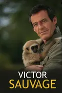 Affiche Audiences TV : Victor Sauvage