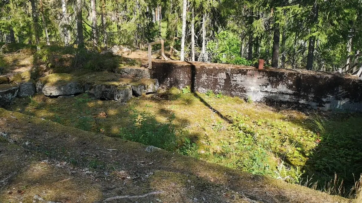 Casting Structures oubliées Rock 'N' Roll Island